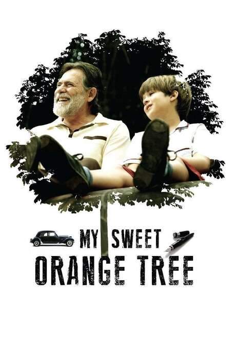 My Sweet Orange Tree